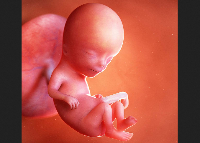 Pro-Life Groups Ask British Parliament to Defeat Measure Legalizing Abortions Up to Birth