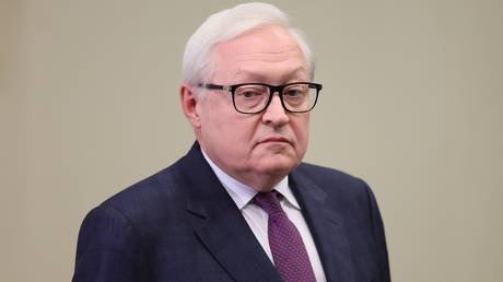 Polish foreign minister rebukes president over US nukes remark