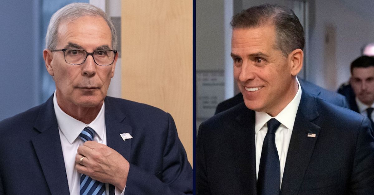 ‘Nothing more than a transparent attempt to delay’: Special counsel excoriates Hunter Biden’s gun trial gambit, repeatedly calls appeal of judge’s rejection ‘frivolous’
