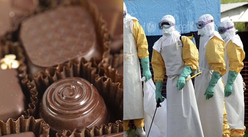 Chocolate Lovers Beware: Virus Menaces Global Chocolate Supply