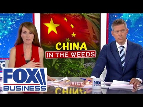 Dagen McDowell: Is China making ‘deadly marijuana’?