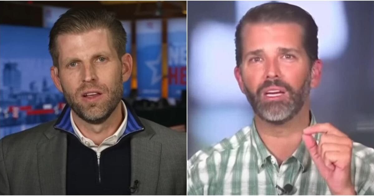 ‘Keep the John Boltons of the world outside’: Don Jr., Eric Trump take charge of transition team
