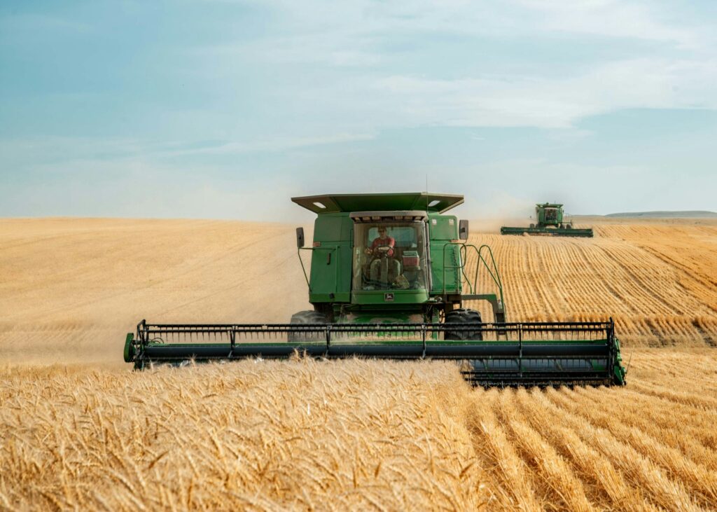 Wheat Farmers Face Huge Losses As Foreign Goods Flood Market