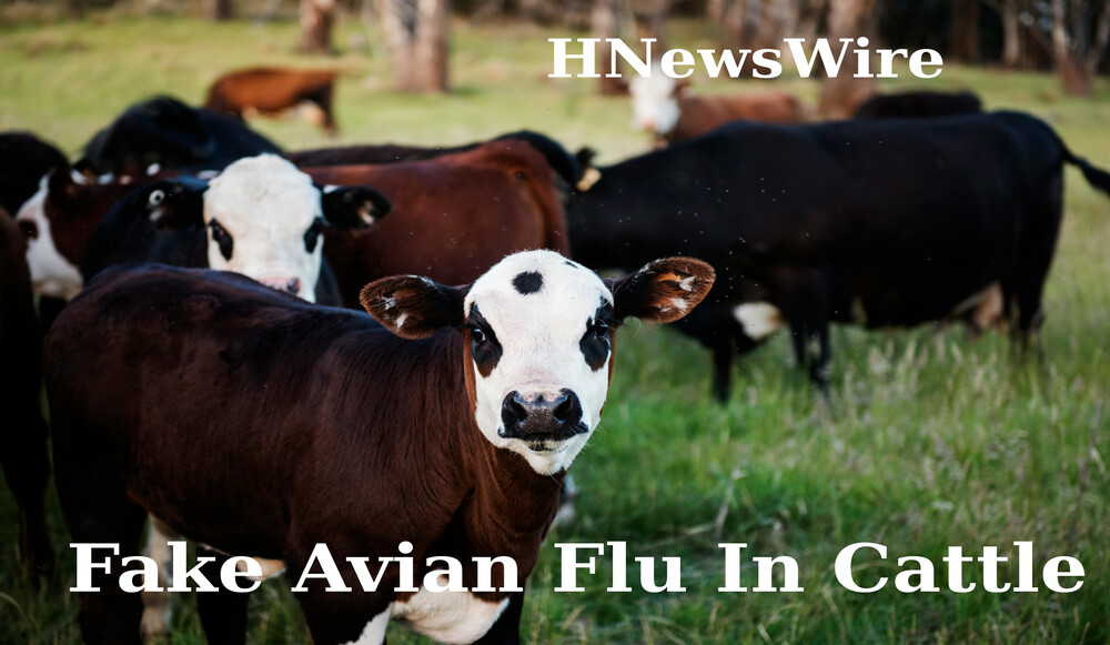 Watchman: People Will Get Sick When Our Supply of Beef, Which Is a Protein, Is Cut Off. Thanks to Google and Dr. Gates, the Truth Has Been Hidden; They Want Us Sick! The Fake Avian Flu Has Been Supposedly Found in Seven States, and Further Cattle Restrictions Are Being Imposed.