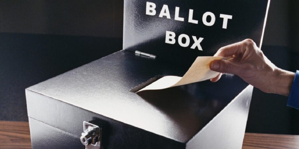 SC Lawmakers Put Citizen-Only Voting Amendment On November Ballot