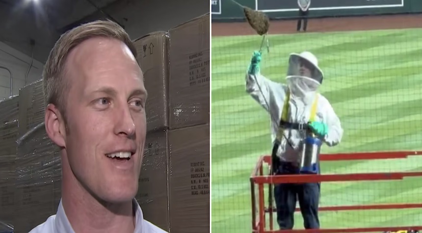 Beekeeper’s Hilarious Showstopper Steals the Spotlight During ‘Bee Delay’ at Dodgers/Diamondbacks Game