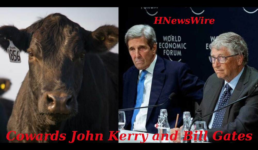 Watchman: According to John Kerry and Bill Gates, “Cow Farts” Are to Blame for “Global Warming.” Who Are These Zany People?