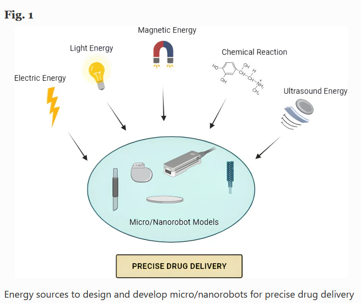 “Multifaceted Applications of Micro/Nanorobots In Pharmaceutical Drug Delivery Systems: A Comprehensive Review” And Correlation To Darkfield Live Blood Analysis In C19 Unvaccinated Blood