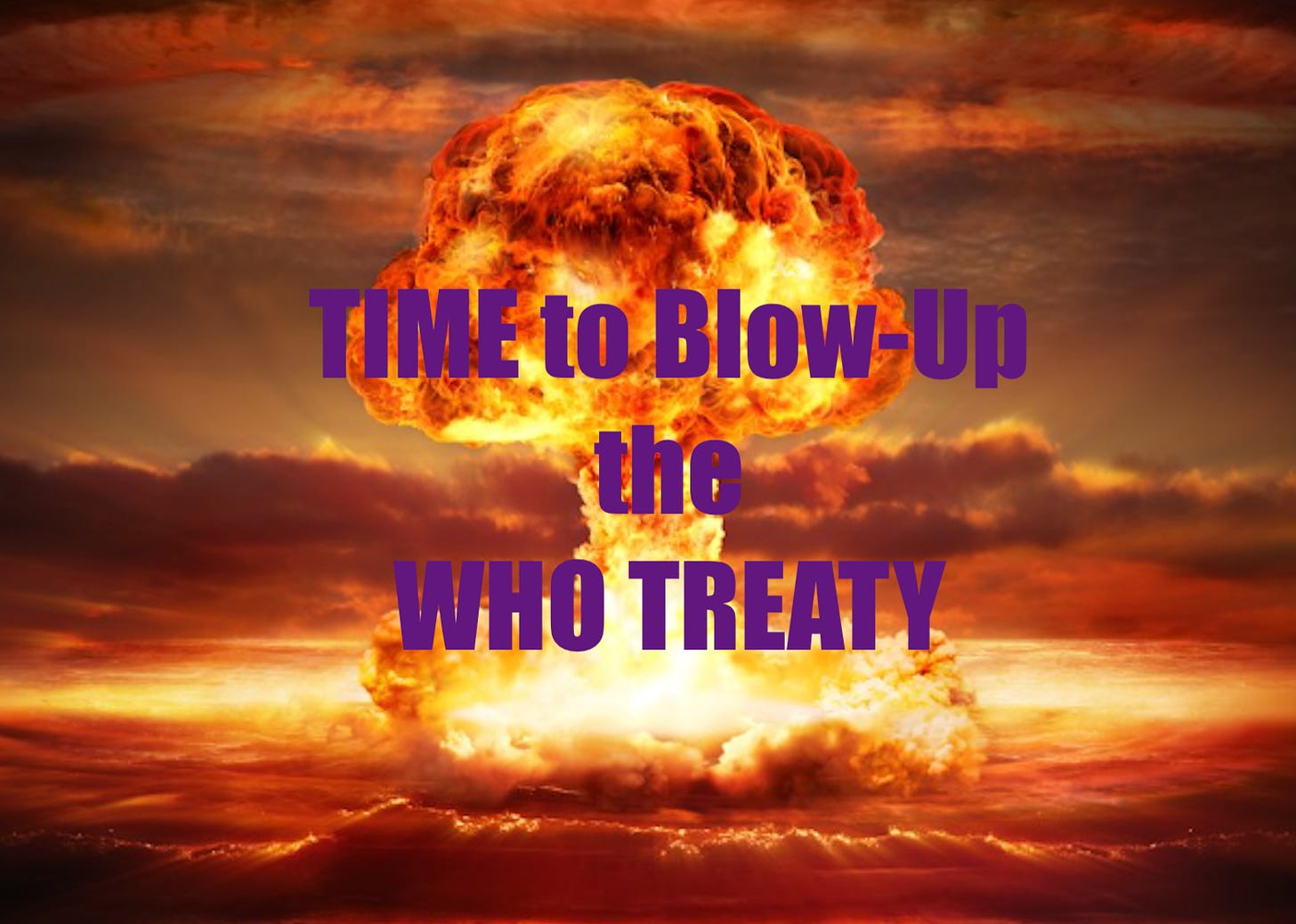 Time to End the Proposed WHO Treaty Now