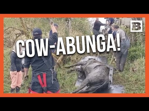 Moo-ving Rescue: Firefighters Save Stranded Cow from Bog