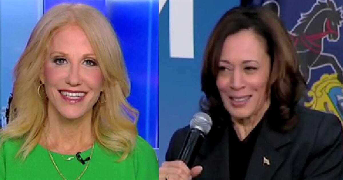 Kamala ‘wants to talk to everybody from the waist down’ says Kellyanne Conway