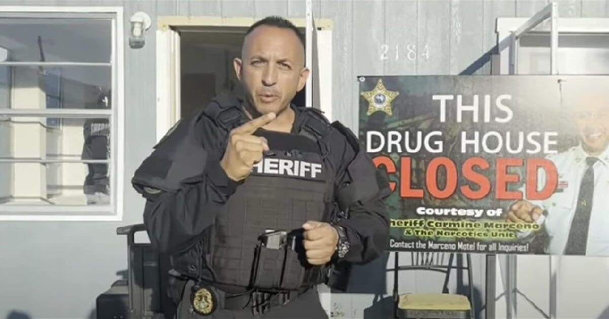 ‘Gangster’ Florida sheriff has words for Dems fleeing blue states: ‘Go back’