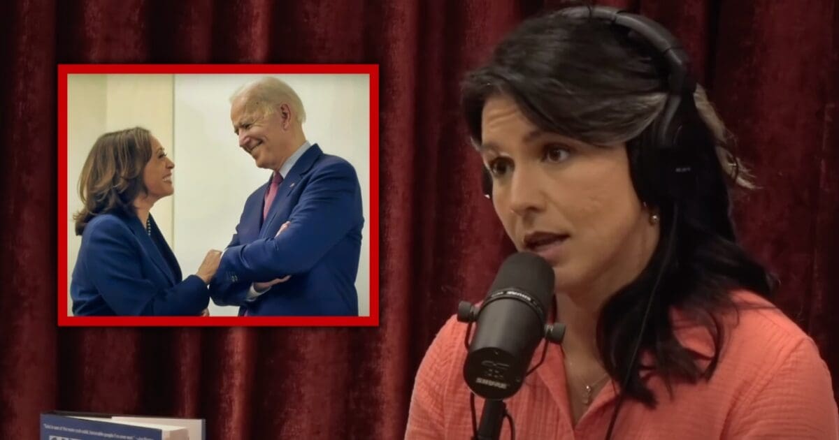 Tulsi Gabbard predicts what Dems will do if they win next elections: ‘Cannot be allowed to remain in power’