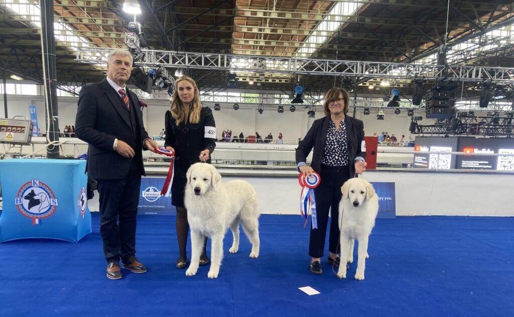 Historical Breakthrough for Hungarian Dog Breeds at World Dog Show