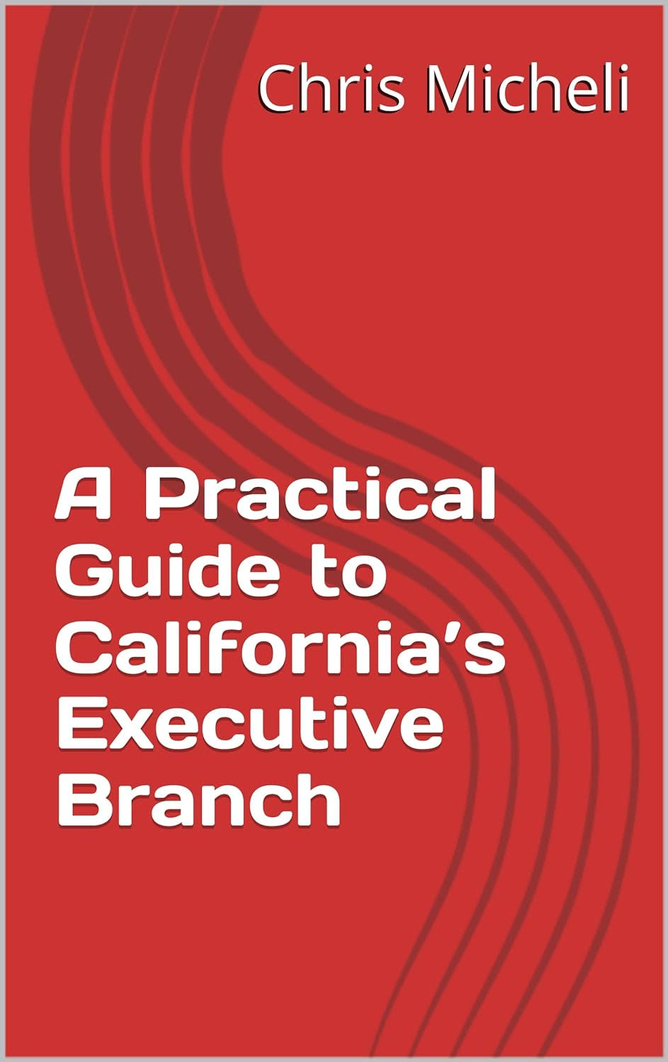 Globe Contributor Publishes Executive Branch Practical Guide
