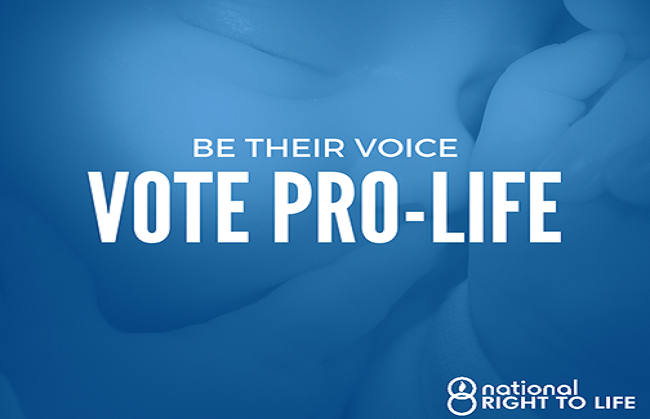 87% of Pro-Life Candidates Won Their Primary Election in West Virginia