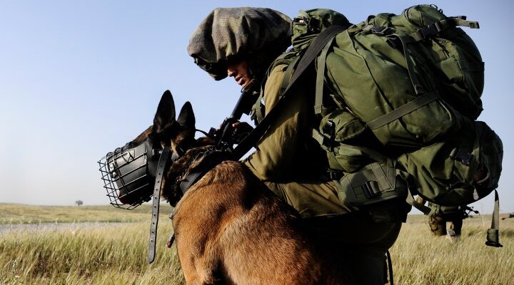 Hamas Abducts and Kills Israeli Military Dog, Uses It to Film Propaganda Video