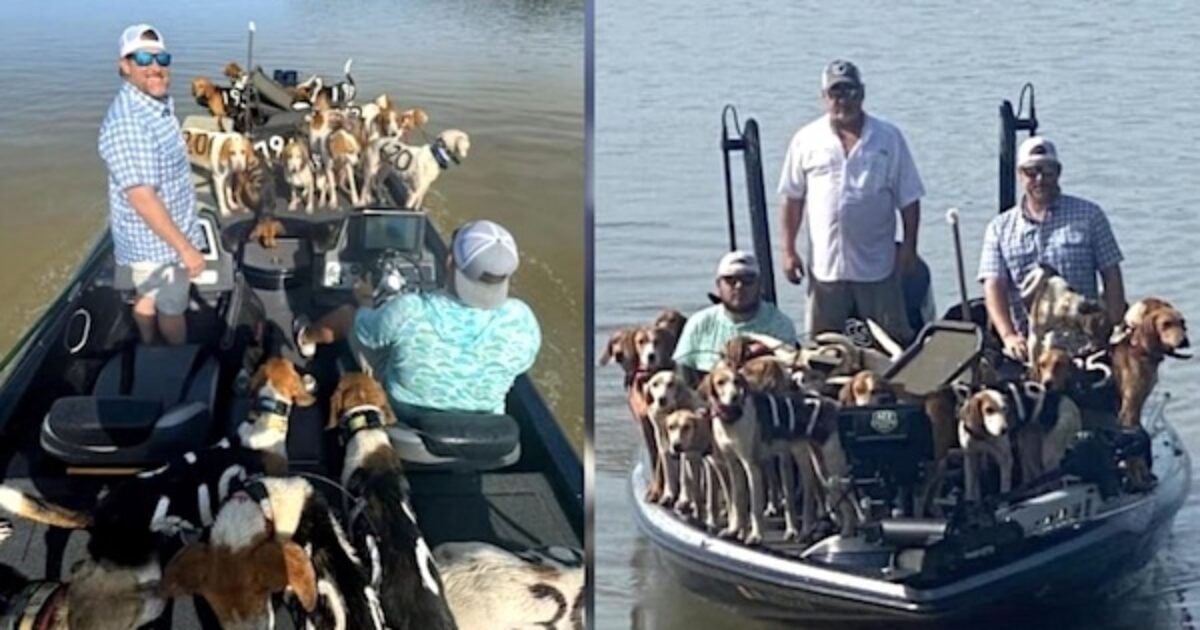 Heroic fishermen save 38 dogs from drowning in lake: ‘We’re just flabbergasted’