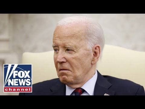 New report sheds light on ‘secret Democrat plot’ to replace Biden
