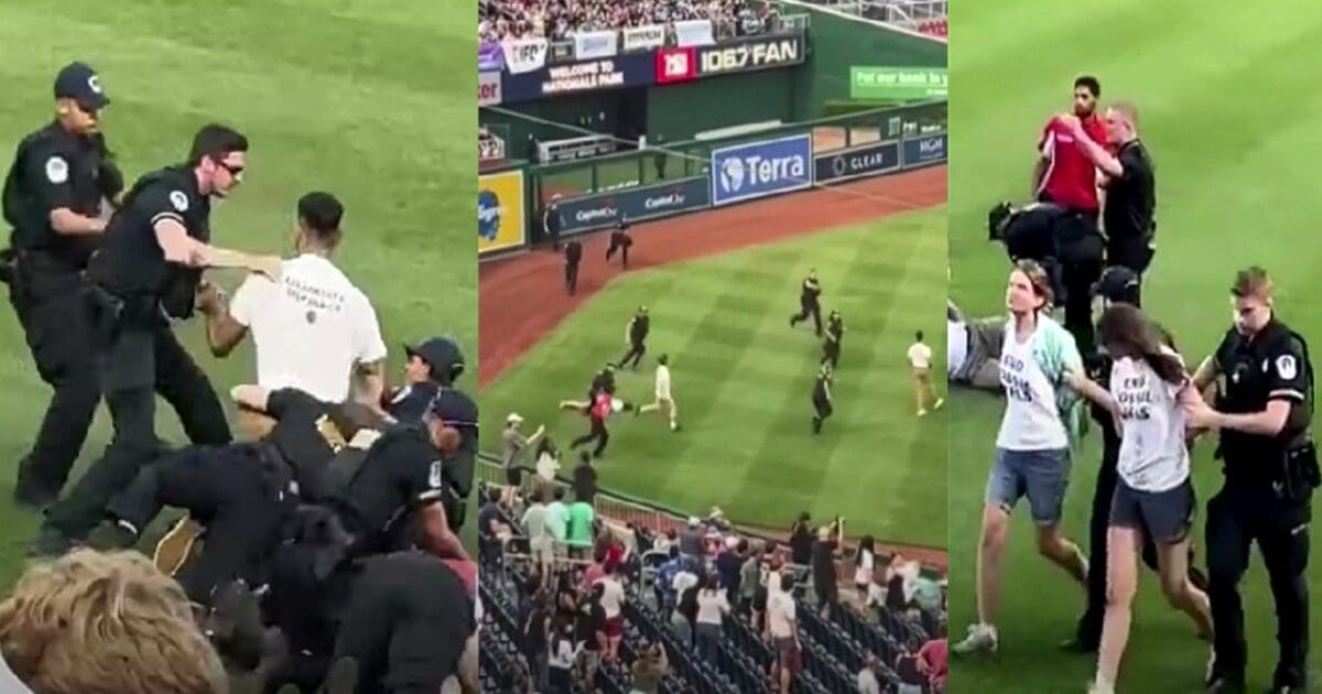 Unwise climate cult protesters storm field during Congressional Baseball Game, eat dirt INSTANTLY