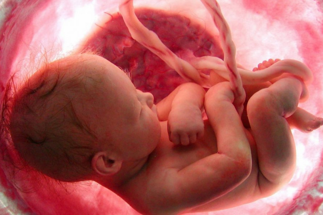 Judge Blocks Biden Rule Forcing Employers to Fund Abortions
