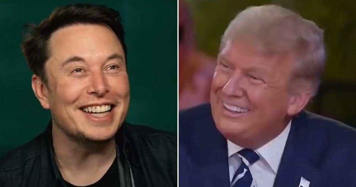 Musk gives hilarious and prompt response to Trump’s offer of WH role