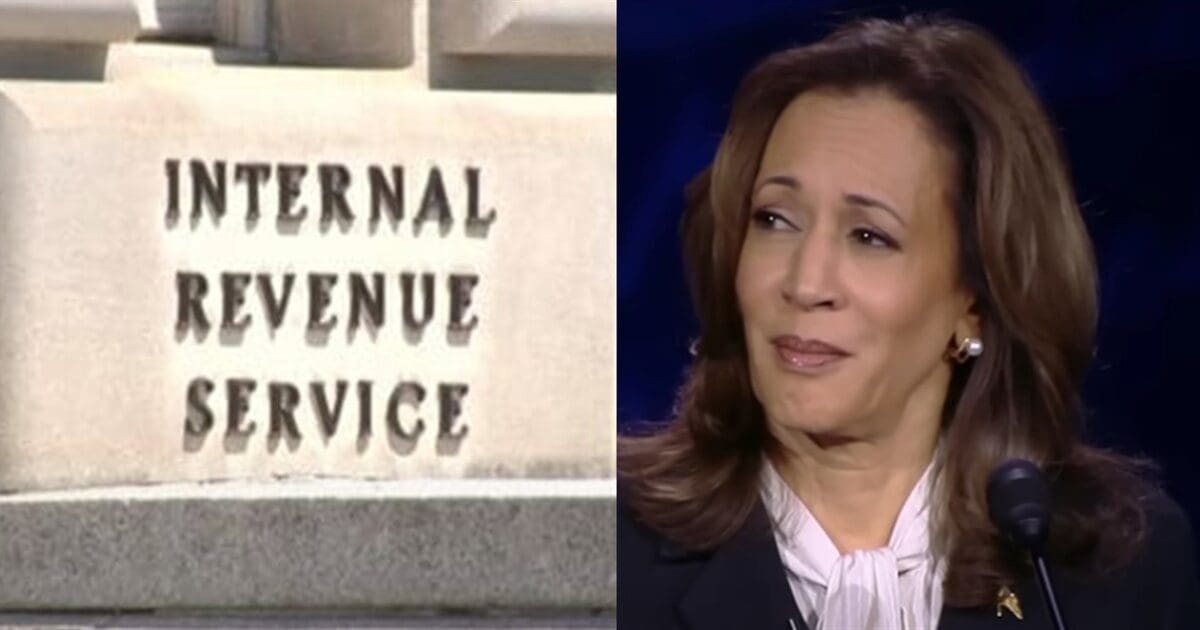 IRS union joins with Putin, Dick Cheney in endorsing Kamala for president