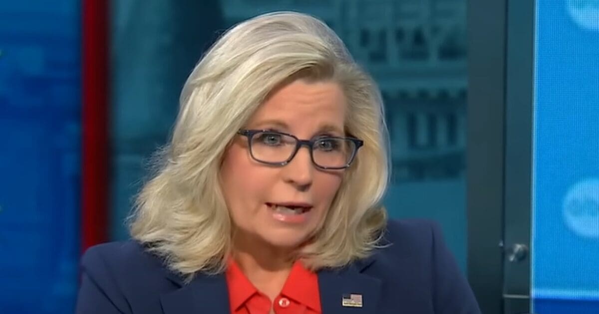 Liz Cheney beclowns self again, invokes Reagan to defend Kamala endorsement