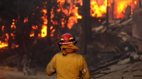 Democrats let California burn while aid went missing – Trump