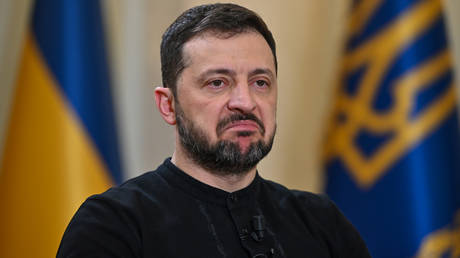 ‘Damage has been done’: Ukraine’s anti-corruption czar slams Zelensky