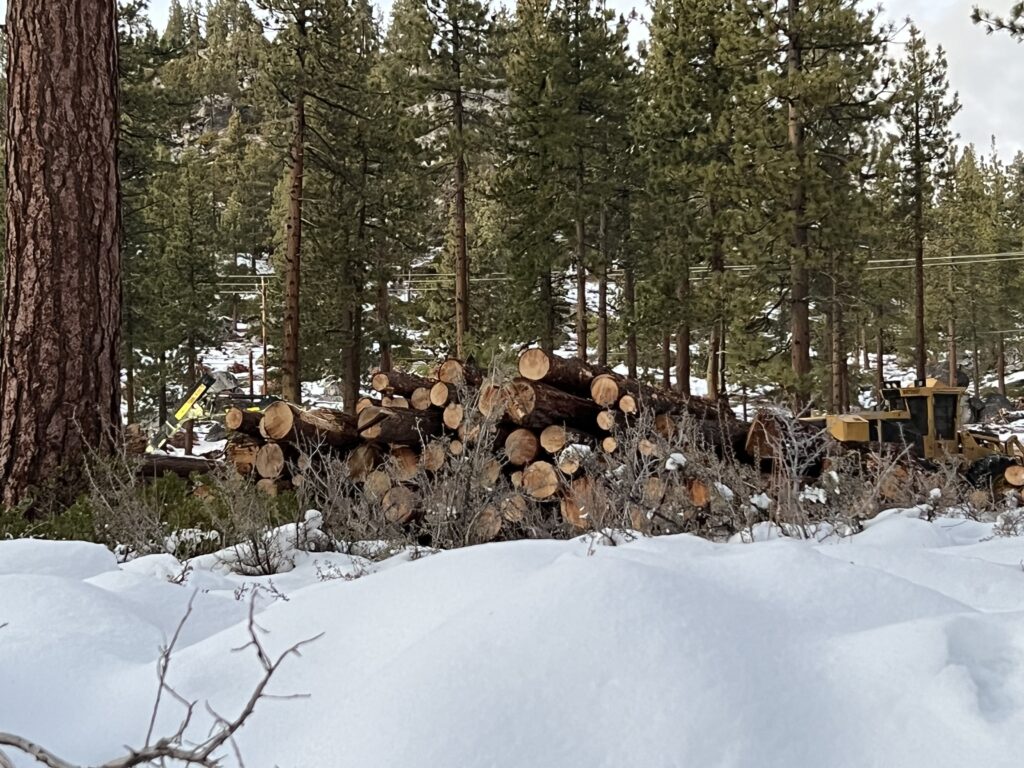 Tahoe homeowner ‘blindsided’ by settlement with NV Energy  