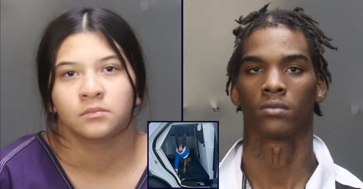 ‘They right there near u’: Teen tried to help boyfriend accused of shooting police K-9 with machine gun as he fled, cops say