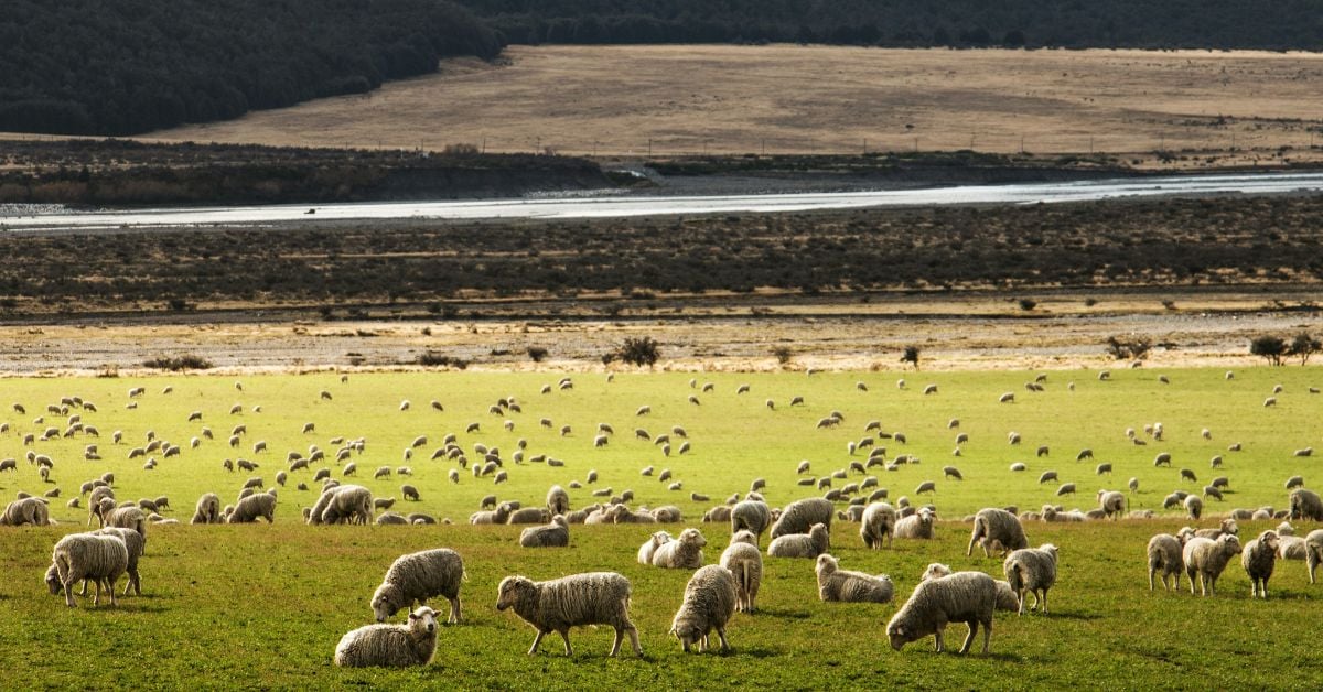 U.S. bans China from buying farmland