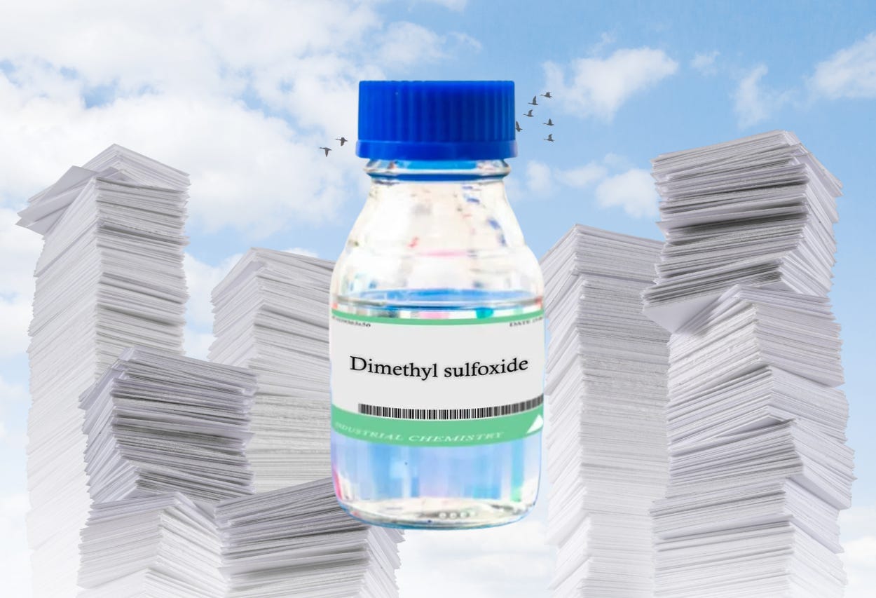 The Banned Remedy That Could Change Medicine Forever