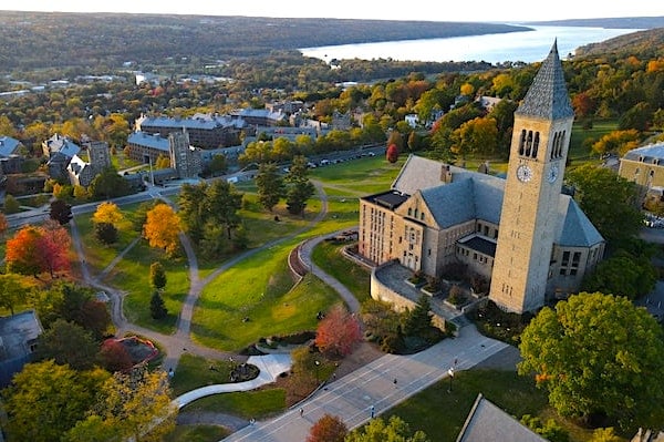 Reforming higher-education reform