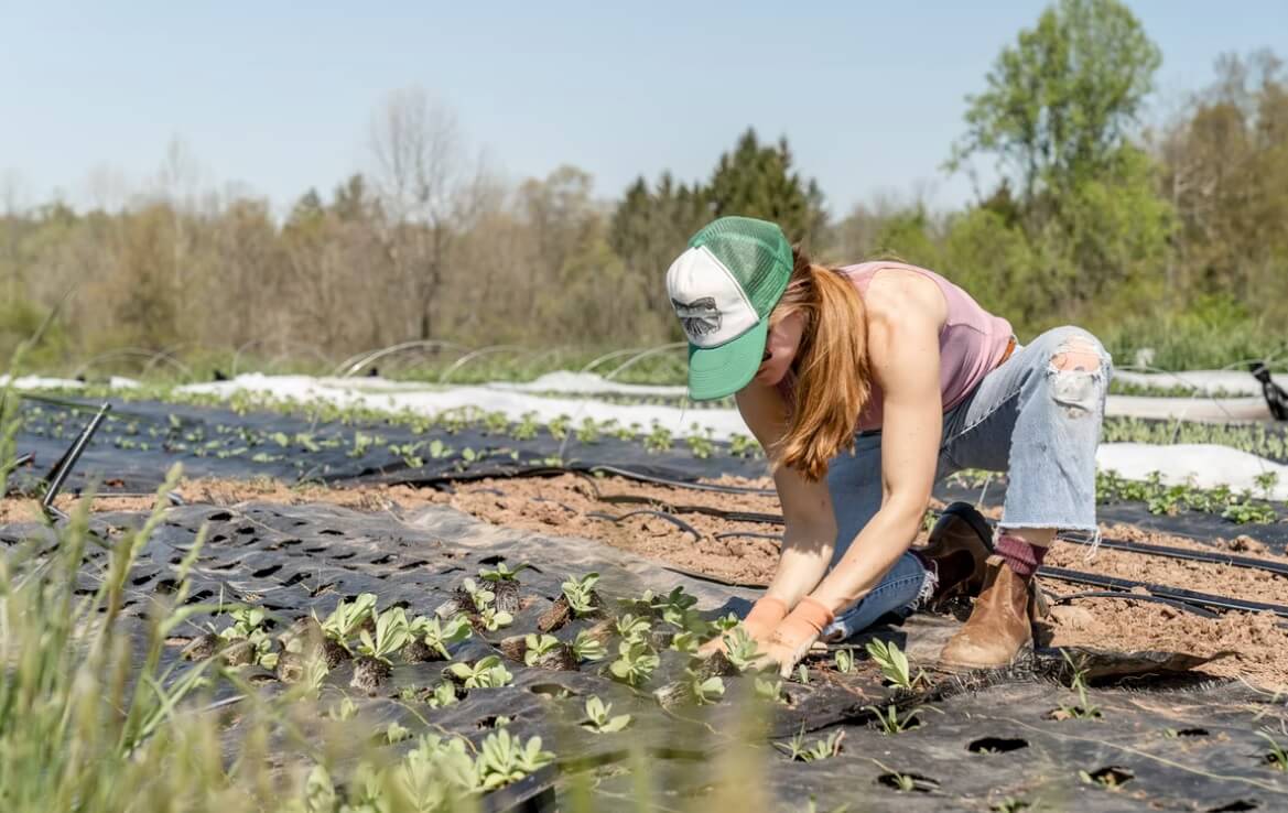 Kotek rule a big threat to farm stands