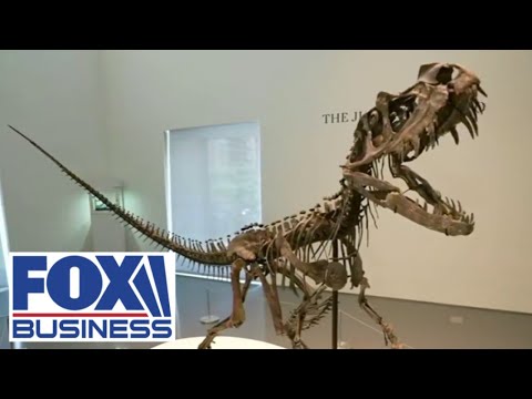 JURASSIC PRICE: Here’s the cost of this 150-million-year-old baby dino fossil