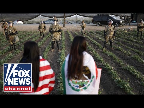 Border chief rips Dems’ ICE resistance after pot farm raid: ‘This is what you get!’