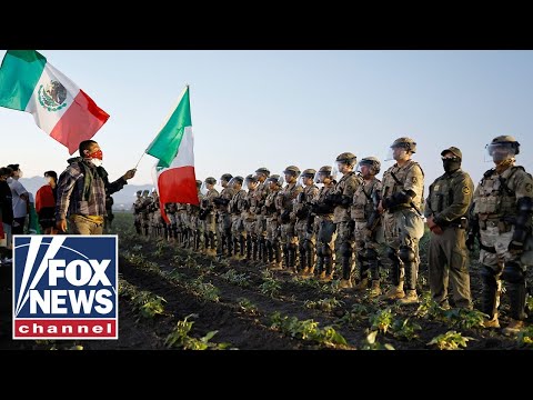 ‘DISTURBING’: ICE finds 14 minors after California cannabis farm raid