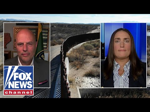 ICE agents are ‘enforcing immigration law as it’s written’ says ICE deputy director