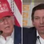 Trump, DeSantis Hold Roundtable At ‘Alligator Alcatraz’