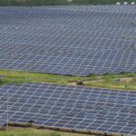 Trump Executive Order Threatens Louisiana’s Solar Gains, Advocates Warn