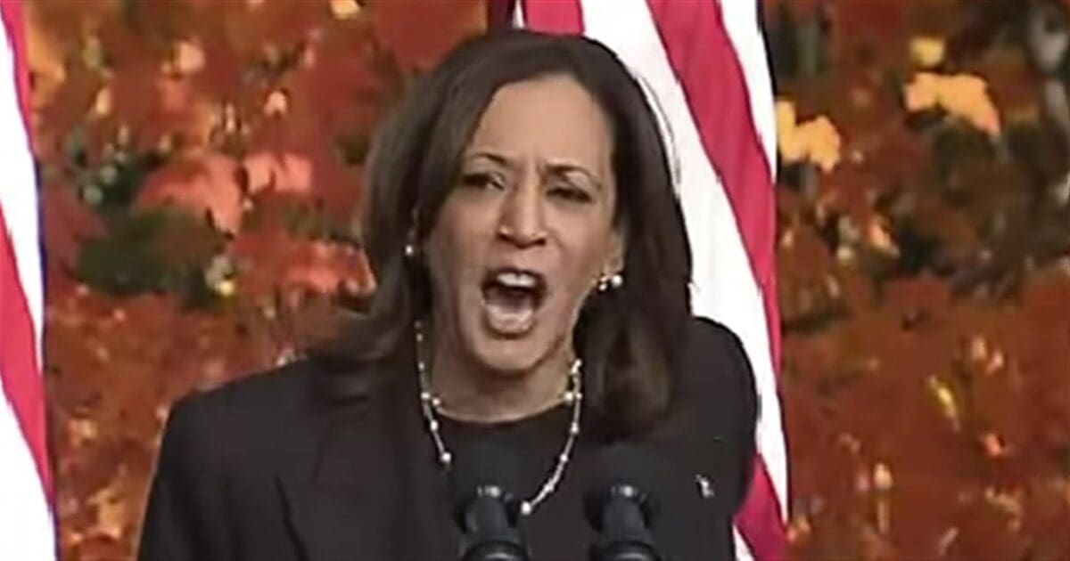 Kamala posts doom-and-gloom July 4 post – mocked for cropping out Biden in photo