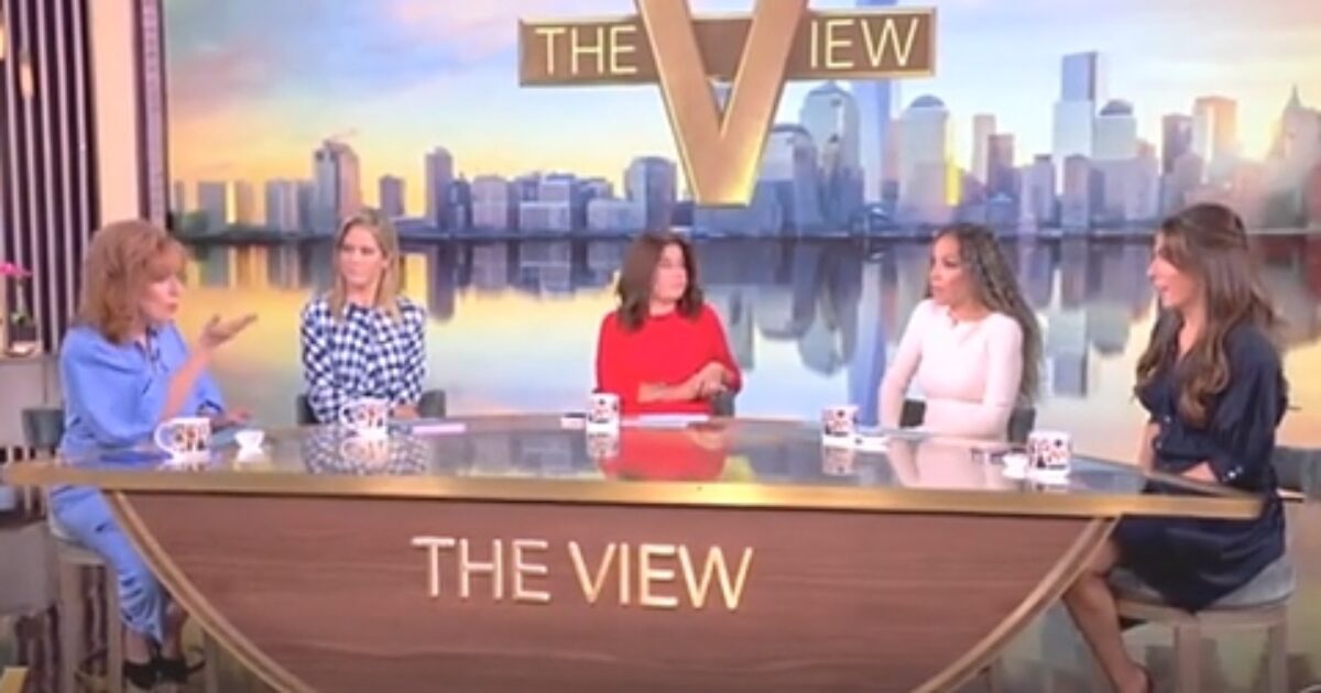 ‘The View’ co-host accuses former Biden officials of ‘hiding something’ by pleading the Fifth to Congress