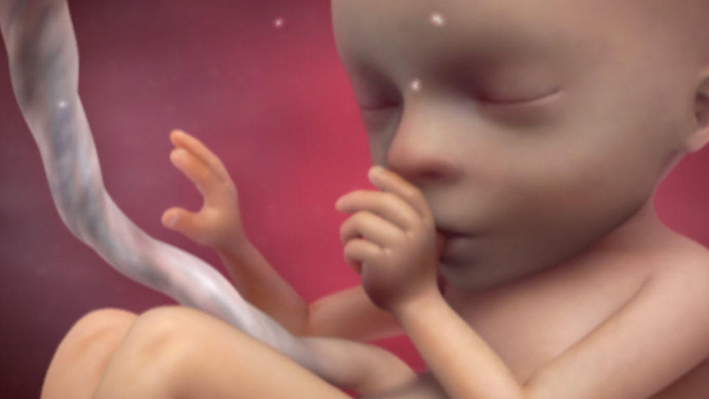 Tennessee Goes From 1,000 Abortions a Month to 0 as Abortion Ban Saves Babies