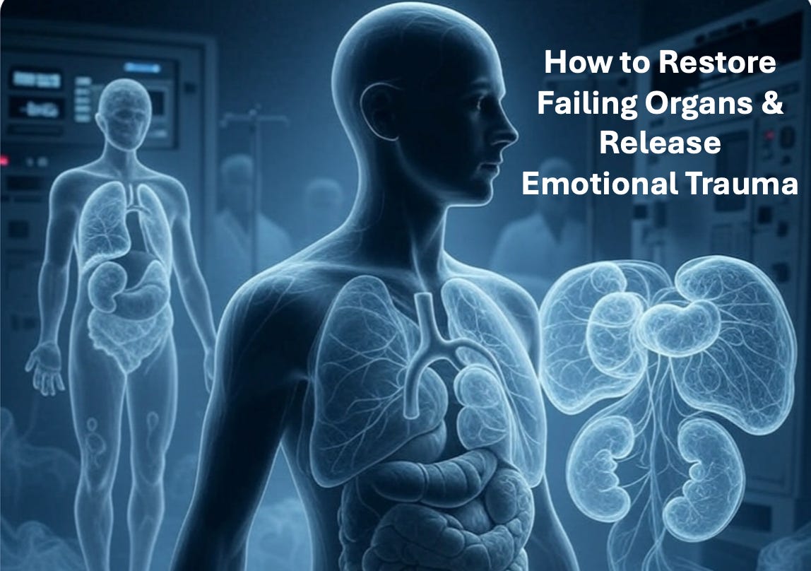 Organs 3 Test