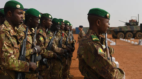 Ukraine should be probed over ‘subversion’ in Africa – Moscow