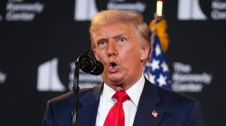 ‘Everyone is to blame’ for Ukraine conflict – Trump