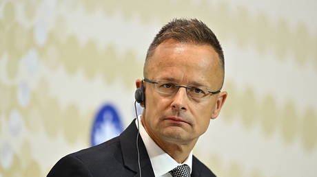 EU state hints at cutting off power supply to Ukraine
