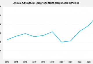 Despite hefty tariffs, trade with Mexico sees steady increase